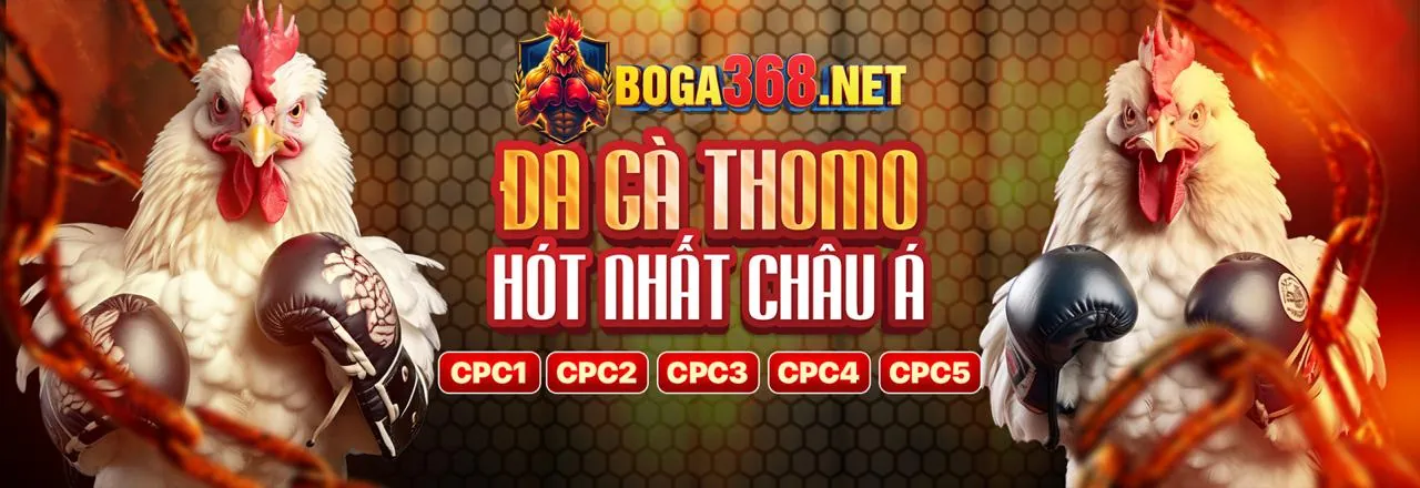 Đá gà trực tuyến 188BET với khuyến mãi hấp dẫn